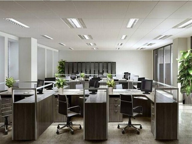 优良猫罐头哪家好